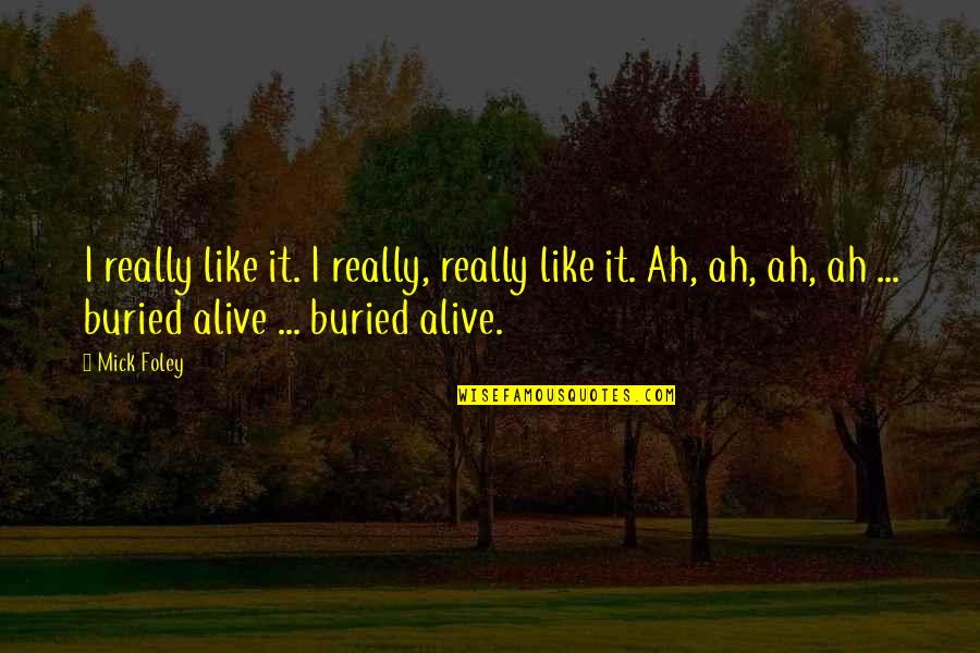 Ah've Quotes By Mick Foley: I really like it. I really, really like Ah've Quotes By Mick Foley: I really like it. I really, really like