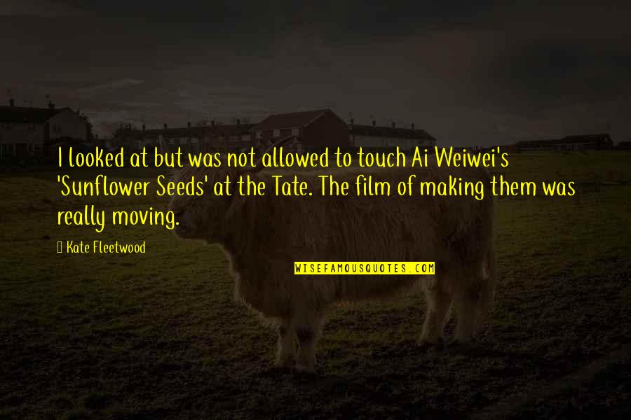 Ai Film Quotes By Kate Fleetwood: I looked at but was not allowed to