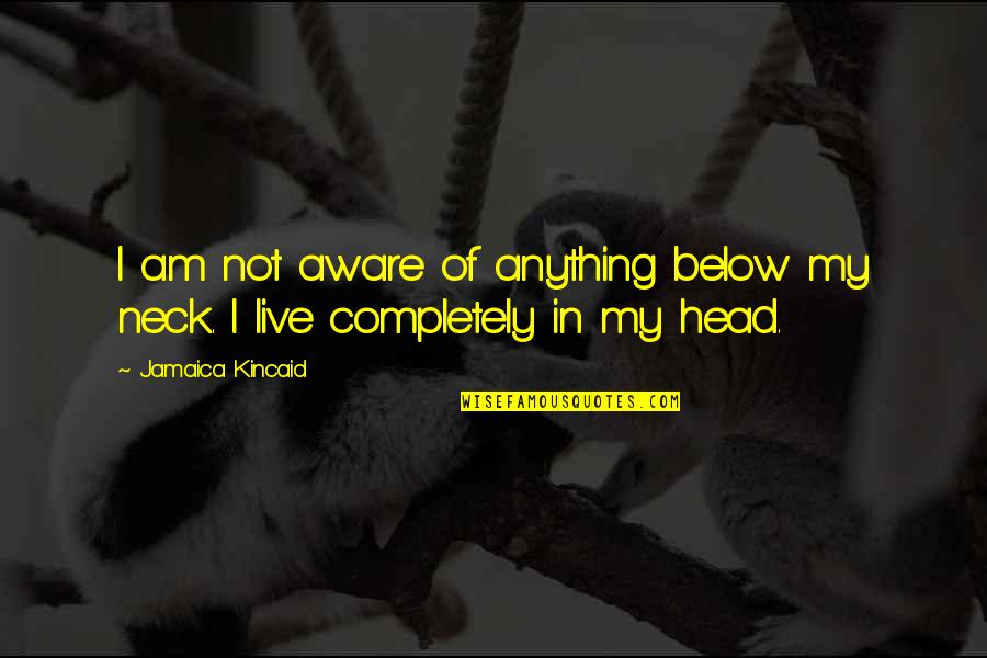 Aibu Saki Quotes By Jamaica Kincaid: I am not aware of anything below my