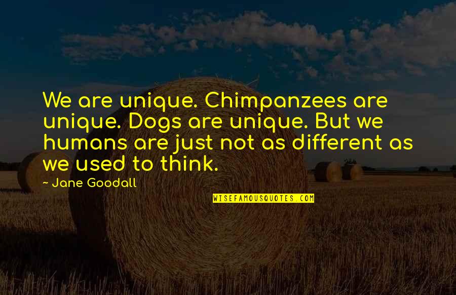 Aid Dependence Quotes By Jane Goodall: We are unique. Chimpanzees are unique. Dogs are