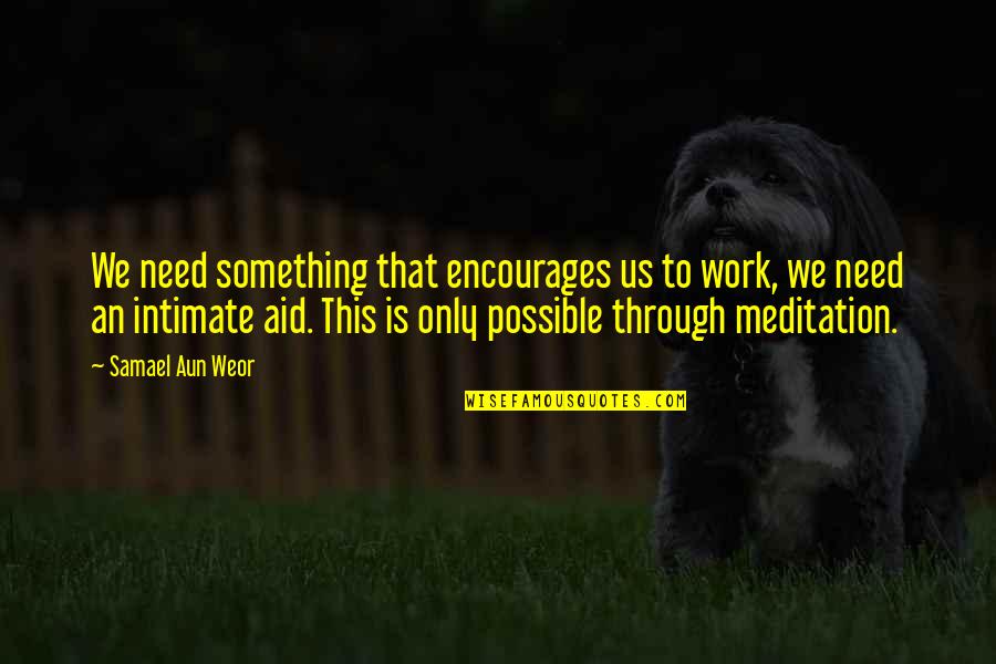 Aid Work Quotes By Samael Aun Weor: We need something that encourages us to work,