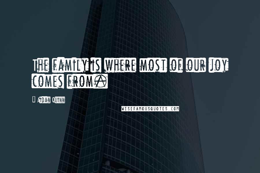 Aidan Quinn quotes: The family is where most of our joy comes from.
