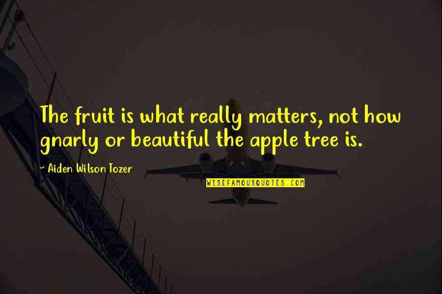 Aiden Tozer Quotes By Aiden Wilson Tozer: The fruit is what really matters, not how