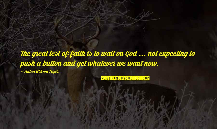 Aiden Tozer Quotes By Aiden Wilson Tozer: The great test of faith is to wait