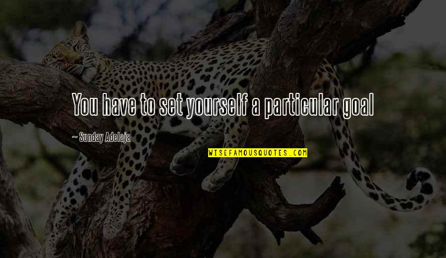 Aidenn Schleich Quotes By Sunday Adelaja: You have to set yourself a particular goal