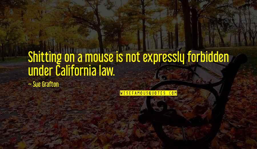 Aidens Mouse Quotes By Sue Grafton: Shitting on a mouse is not expressly forbidden