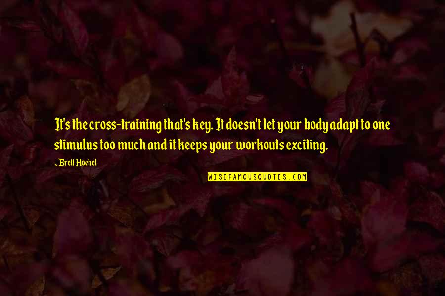Aidyn Mod Quotes By Brett Hoebel: It's the cross-training that's key. It doesn't let Aidyn Mod Quotes By Brett Hoebel: It's the cross-training that's key. It doesn't let