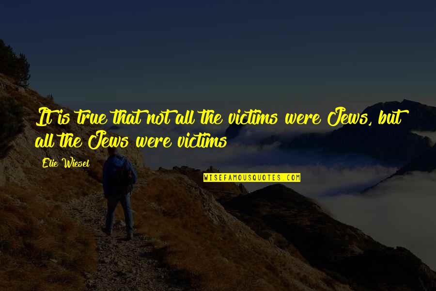 Aig Travel Guard Quotes By Elie Wiesel: It is true that not all the victims