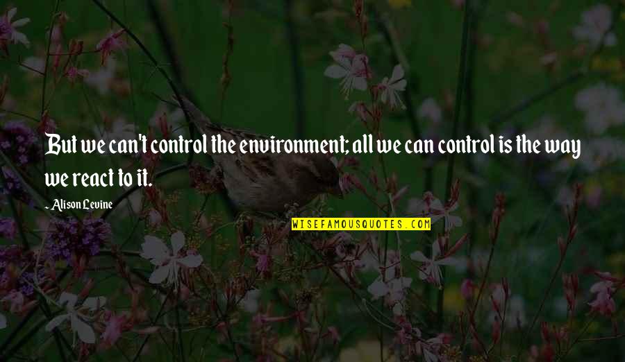 Aikpokpo Martins Quotes By Alison Levine: But we can't control the environment; all we