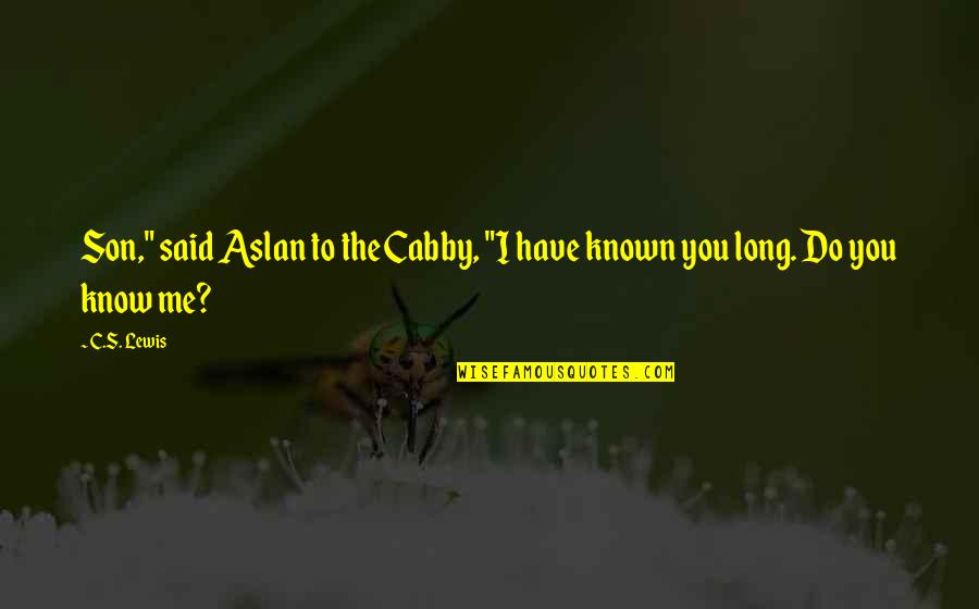 Aillas Quotes By C.S. Lewis: Son," said Aslan to the Cabby, "I have