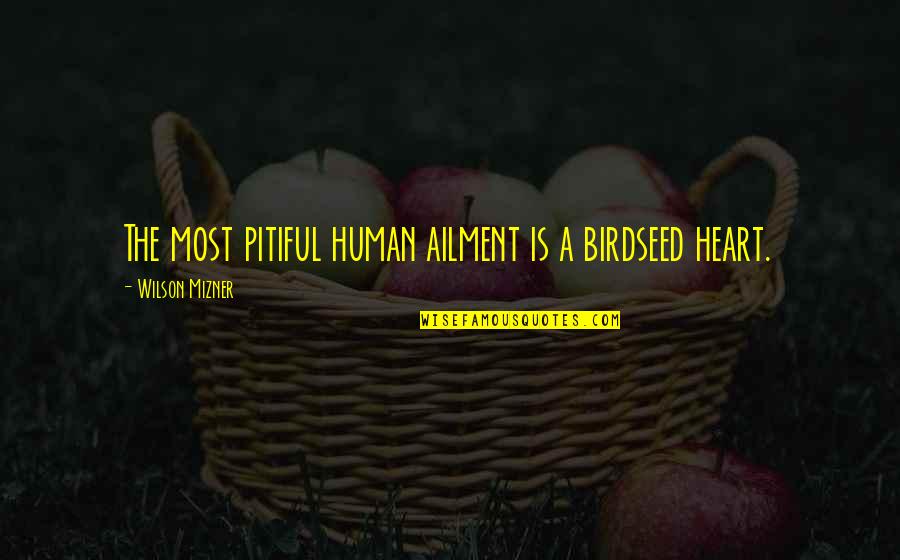 Ailment Quotes By Wilson Mizner: The most pitiful human ailment is a birdseed Ailment Quotes By Wilson Mizner: The most pitiful human ailment is a birdseed