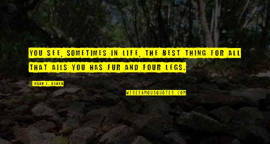 Ails You Quotes By Mark J. Asher: You see, sometimes in life, the best thing Ails You Quotes By Mark J. Asher: You see, sometimes in life, the best thing