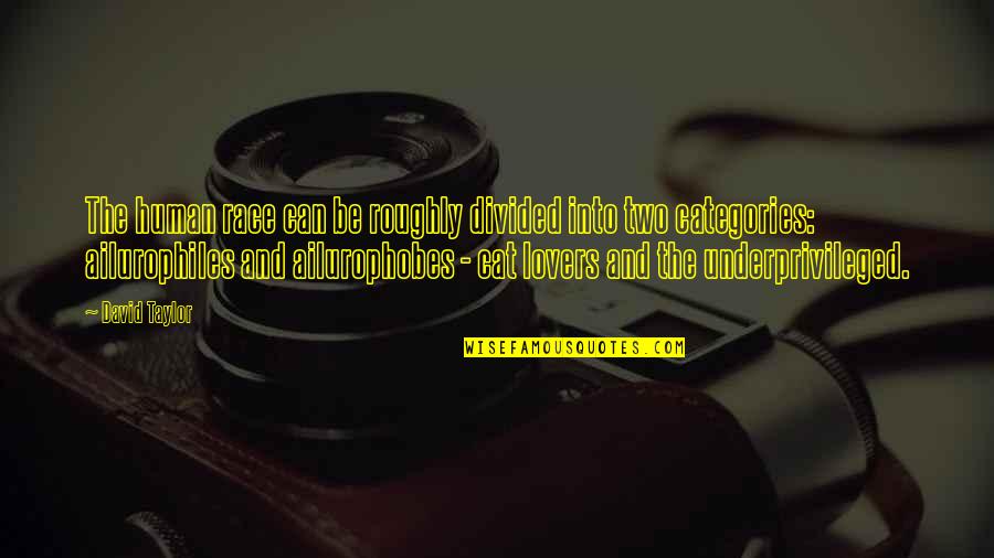 Ailurophobes Quotes By David Taylor: The human race can be roughly divided into Ailurophobes Quotes By David Taylor: The human race can be roughly divided into