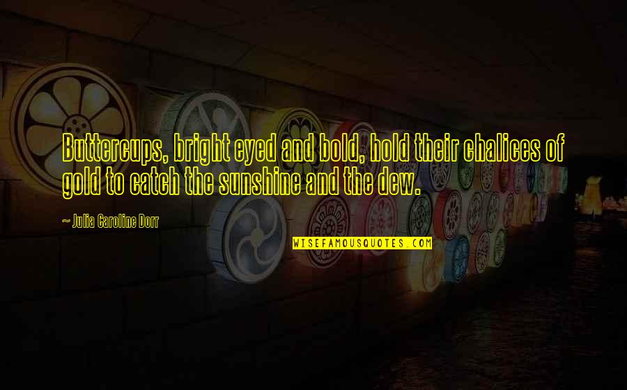 Ailyn Solano Quotes By Julia Caroline Dorr: Buttercups, bright eyed and bold, hold their chalices