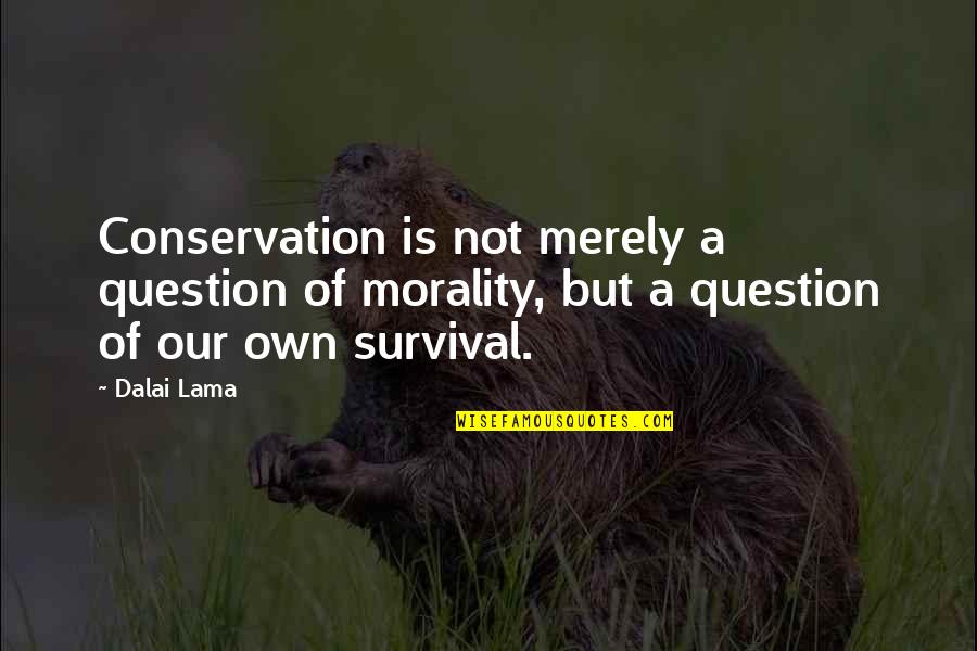 Aim For Happiness Quotes By Dalai Lama: Conservation is not merely a question of morality,