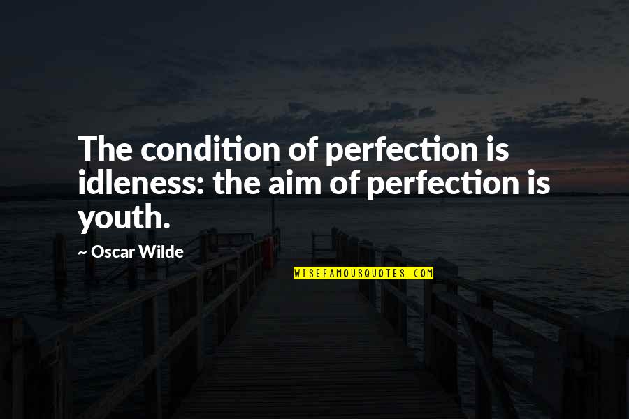 Aim For Perfection Quotes By Oscar Wilde: The condition of perfection is idleness: the aim