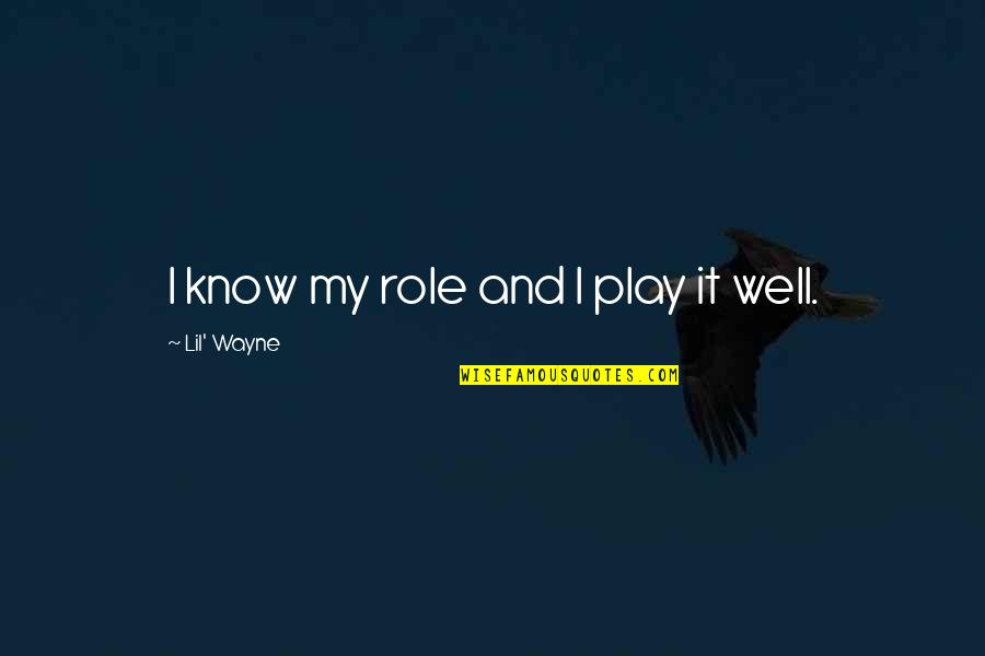 Aim High Short Quotes By Lil' Wayne: I know my role and I play it Aim High Short Quotes By Lil' Wayne: I know my role and I play it
