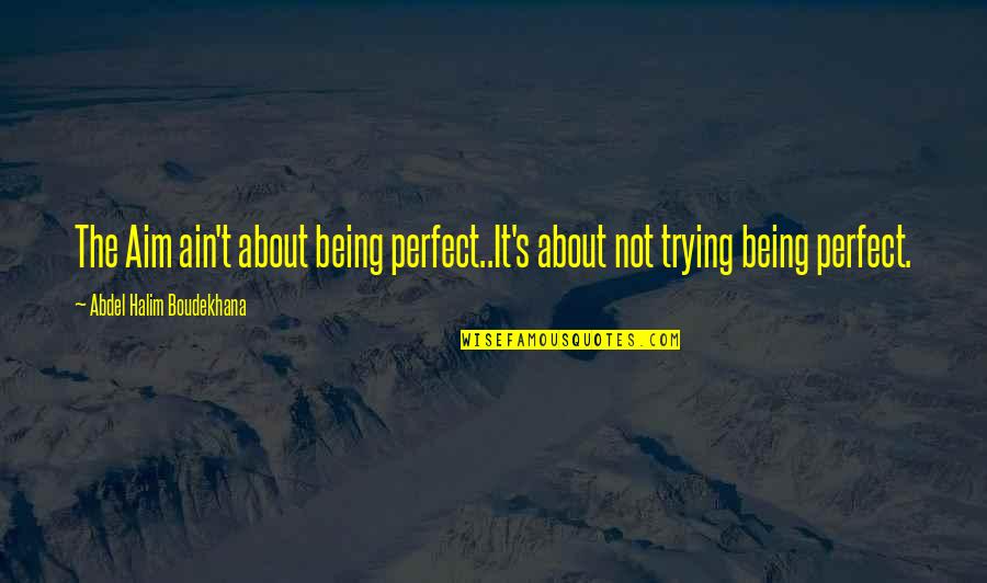 Aim Quotes By Abdel Halim Boudekhana: The Aim ain't about being perfect..It's about not