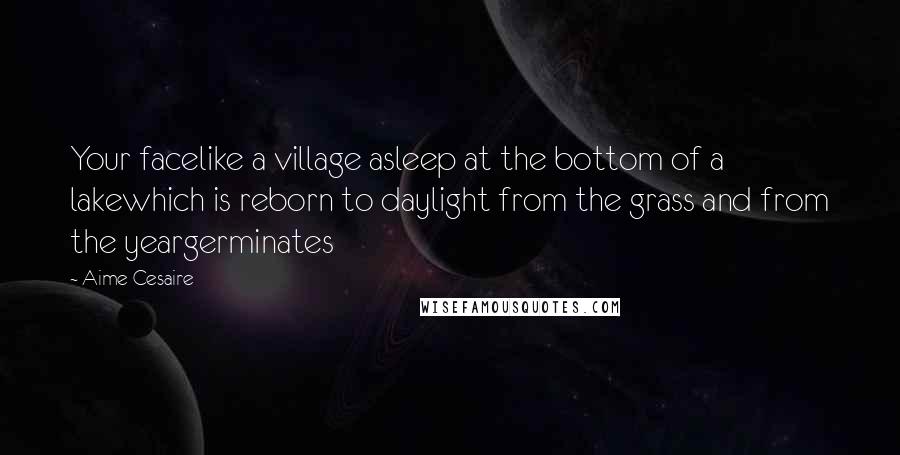 Aime Cesaire quotes: Your facelike a village asleep at the bottom of a lakewhich is reborn to daylight from the grass and from the yeargerminates