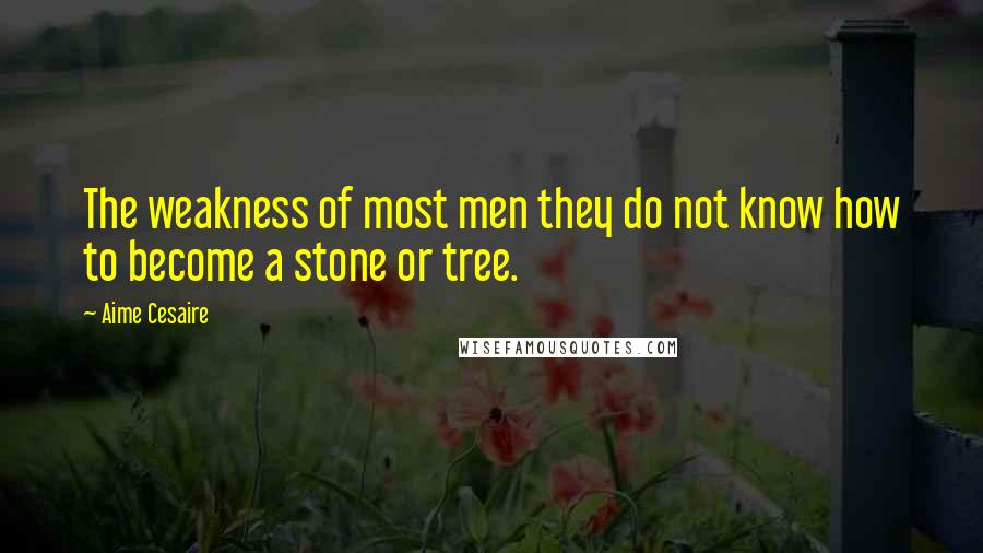 Aime Cesaire quotes: The weakness of most men they do not know how to become a stone or tree.