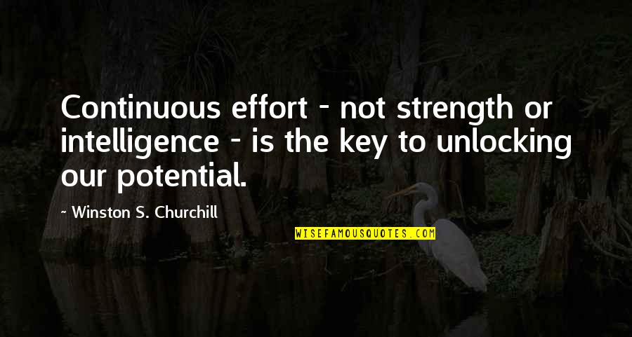 Aimer Quotes By Winston S. Churchill: Continuous effort - not strength or intelligence -