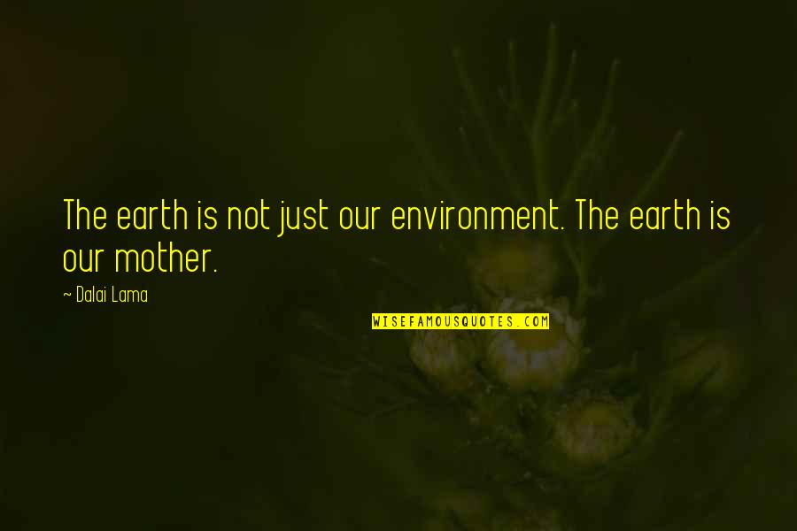 Aimone Art Quotes By Dalai Lama: The earth is not just our environment. The