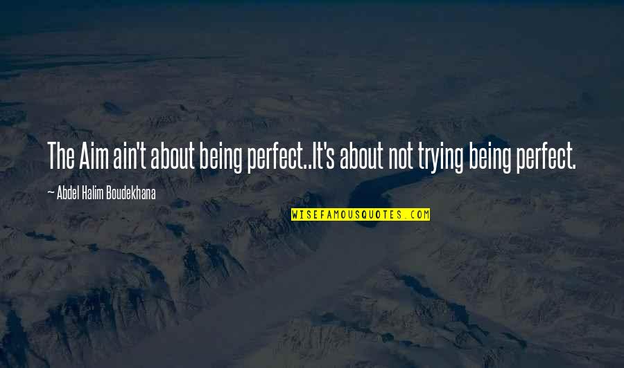 Ain's Quotes By Abdel Halim Boudekhana: The Aim ain't about being perfect..It's about not