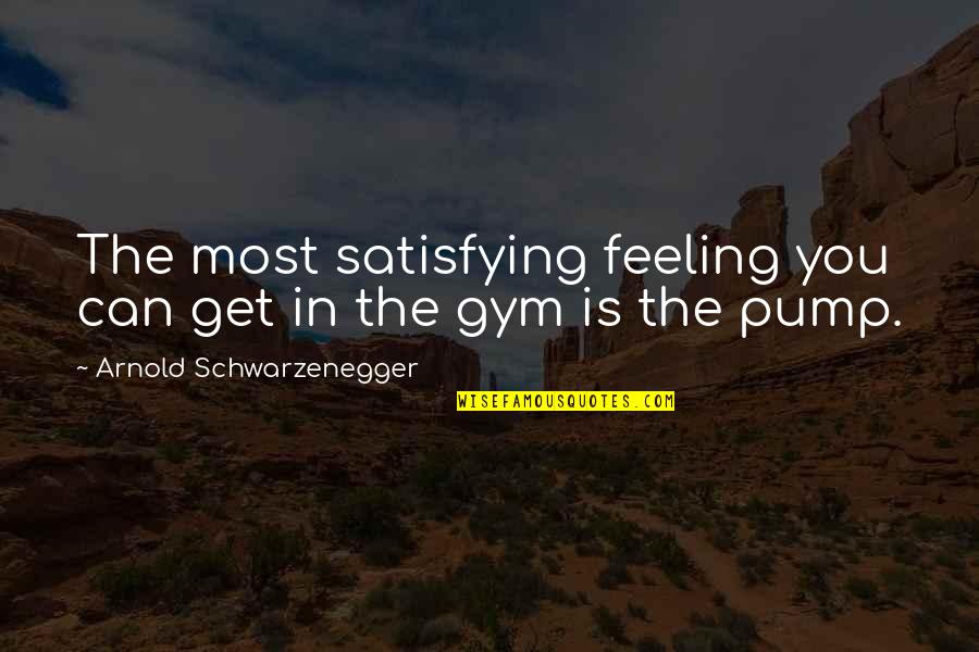 Ain't Got Time Quotes By Arnold Schwarzenegger: The most satisfying feeling you can get in