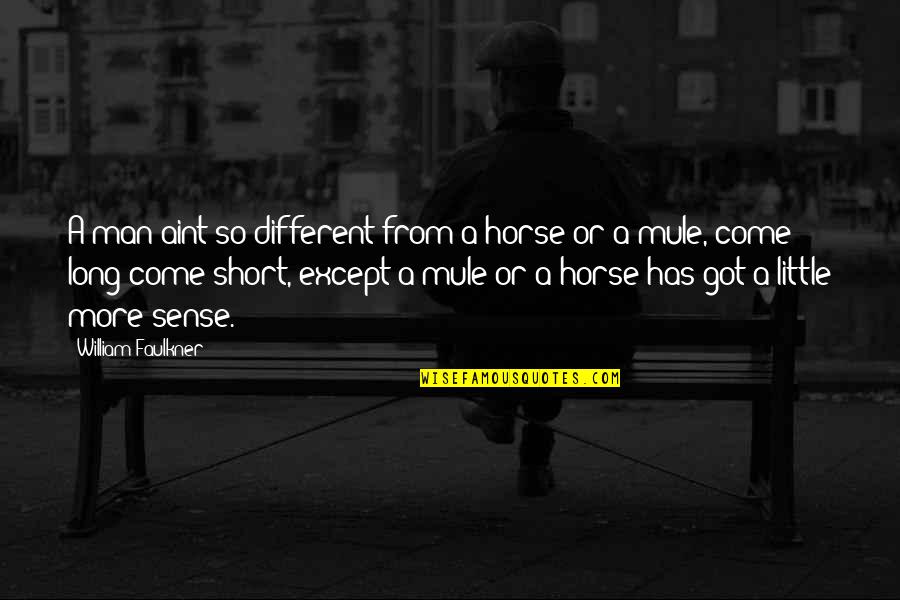 Aint Short Quotes By William Faulkner: A man aint so different from a horse Aint Short Quotes By William Faulkner: A man aint so different from a horse
