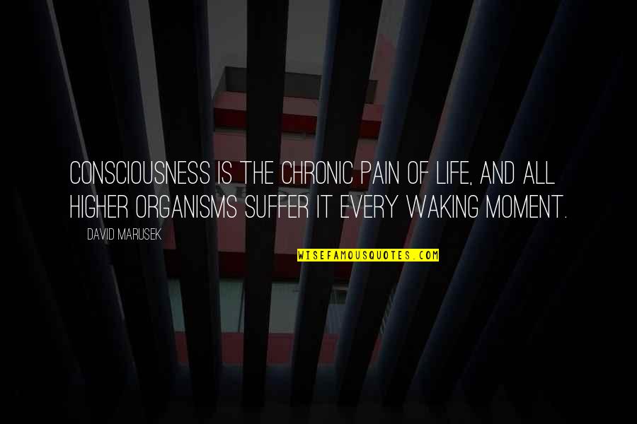Ai'oan Quotes By David Marusek: Consciousness is the chronic pain of life, and Ai'oan Quotes By David Marusek: Consciousness is the chronic pain of life, and