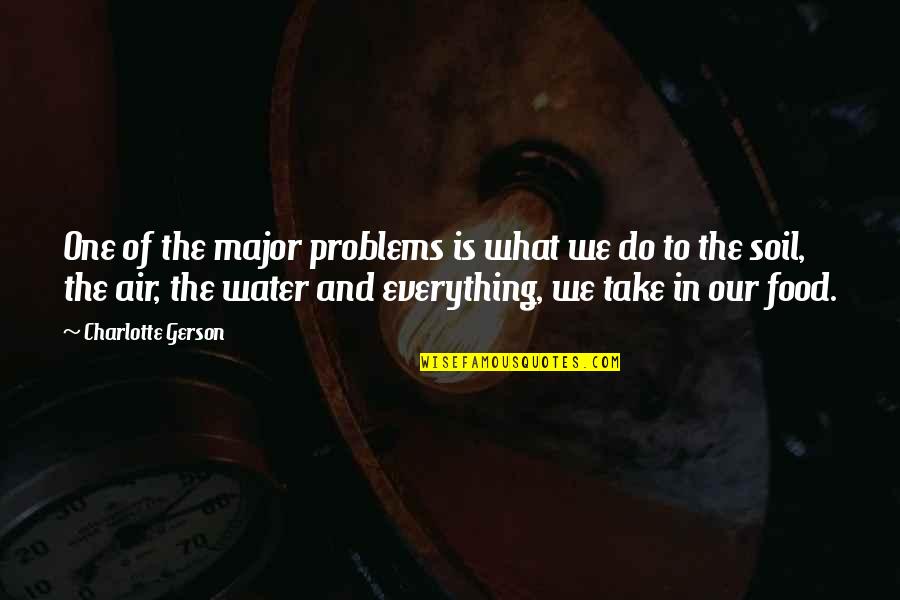 Air And Water Quotes By Charlotte Gerson: One of the major problems is what we