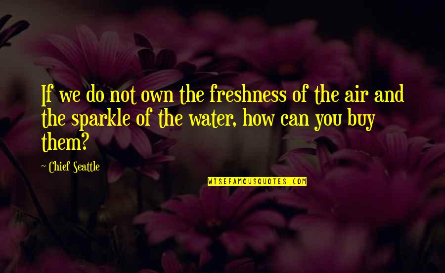 Air And Water Quotes By Chief Seattle: If we do not own the freshness of
