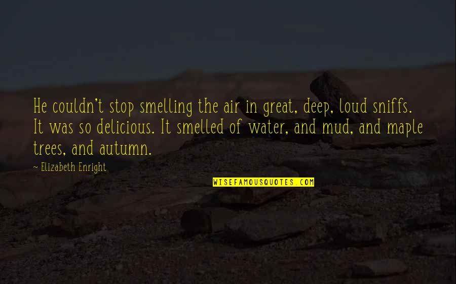 Air And Water Quotes By Elizabeth Enright: He couldn't stop smelling the air in great,