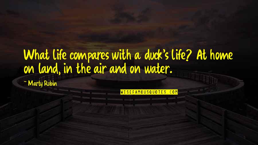 Air And Water Quotes By Marty Rubin: What life compares with a duck's life? At