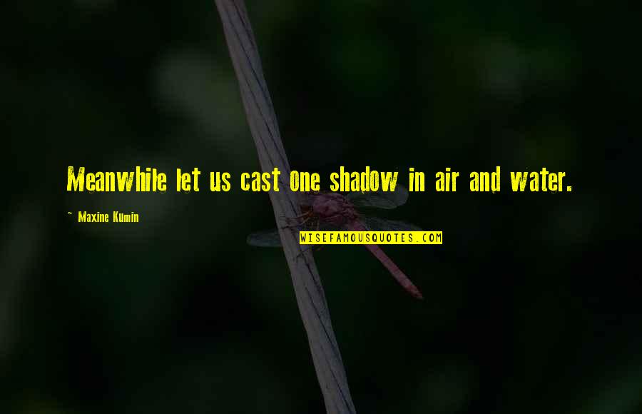 Air And Water Quotes By Maxine Kumin: Meanwhile let us cast one shadow in air