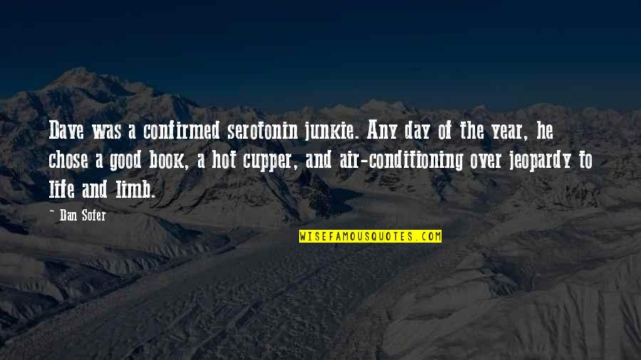 Air Conditioning Quotes By Dan Sofer: Dave was a confirmed serotonin junkie. Any day