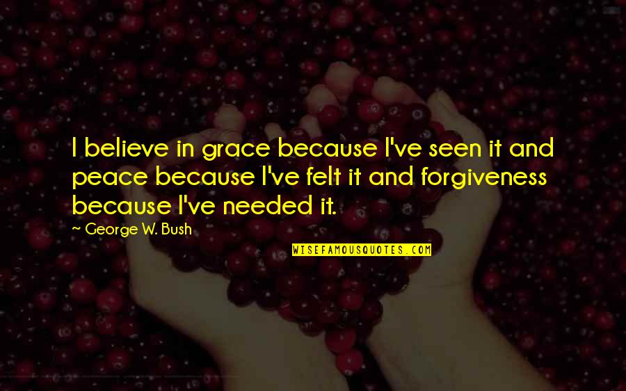 Air Hug Imagine Quotes By George W. Bush: I believe in grace because I've seen it