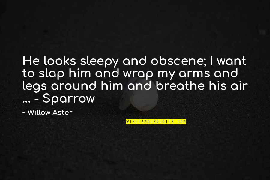 Air I Breathe Quotes By Willow Aster: He looks sleepy and obscene; I want to