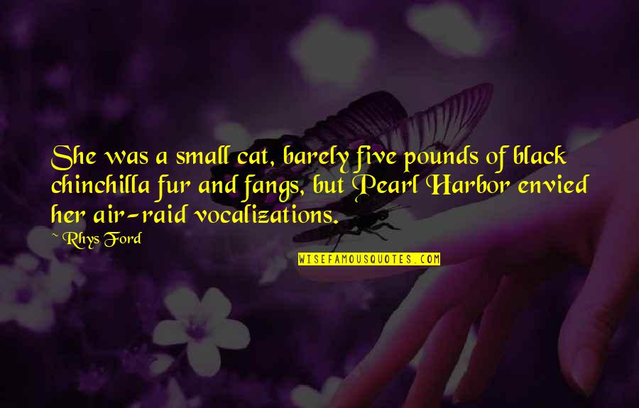 Air Raid Quotes By Rhys Ford: She was a small cat, barely five pounds Air Raid Quotes By Rhys Ford: She was a small cat, barely five pounds