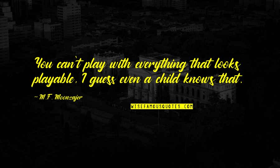 Aircraft Mechanic Quotes By M.F. Moonzajer: You can't play with everything that looks playable,