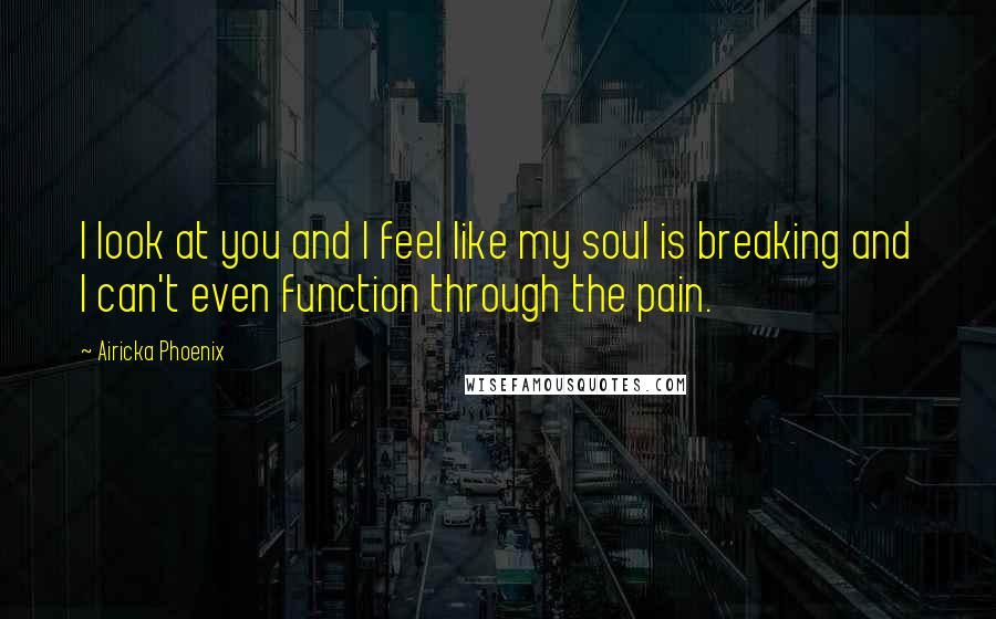 Airicka Phoenix quotes: I look at you and I feel like my soul is breaking and I can't even function through the pain.