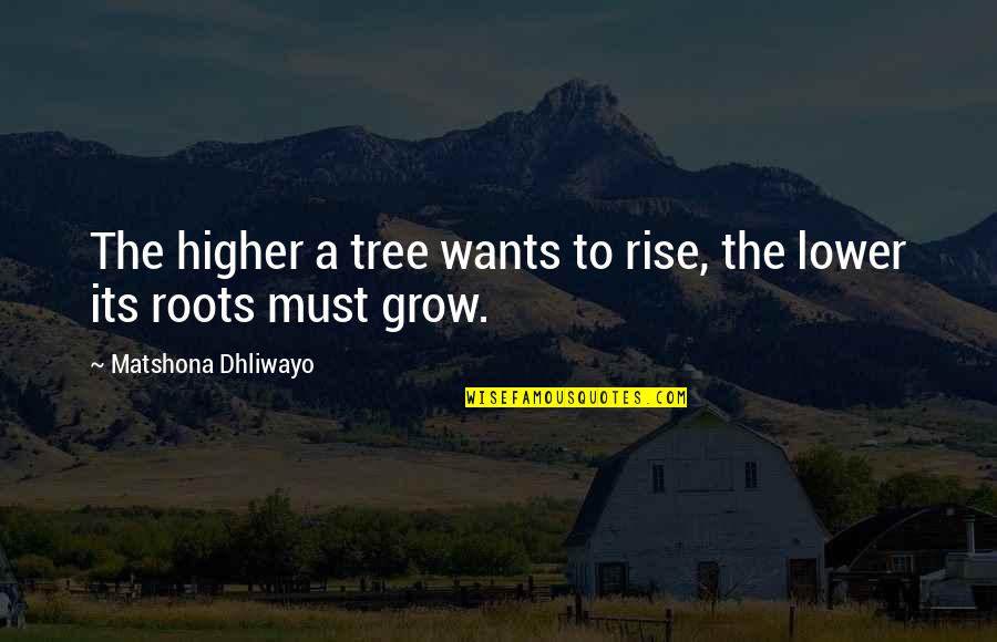 Airless Sprayer Quotes By Matshona Dhliwayo: The higher a tree wants to rise, the