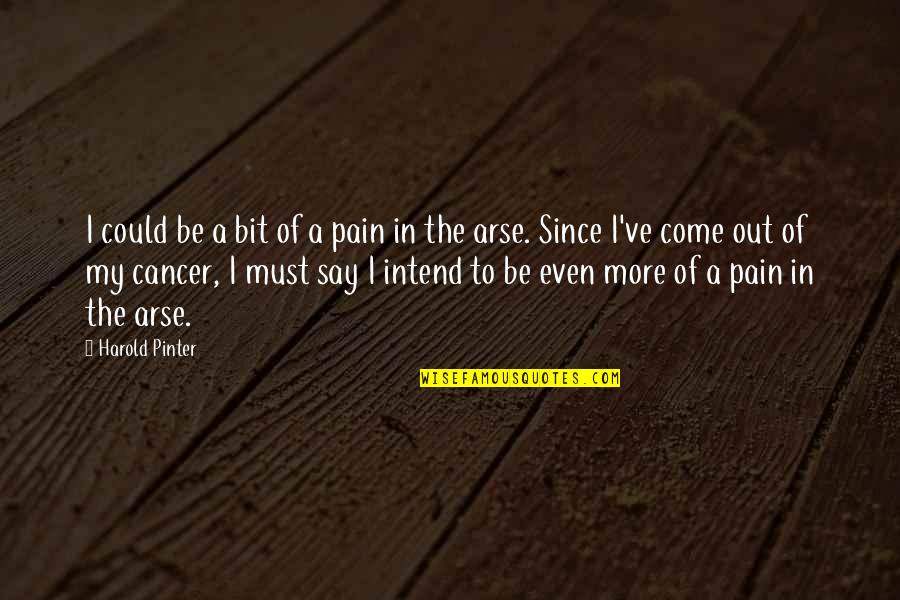 Airlifting Dolphins Quotes By Harold Pinter: I could be a bit of a pain Airlifting Dolphins Quotes By Harold Pinter: I could be a bit of a pain