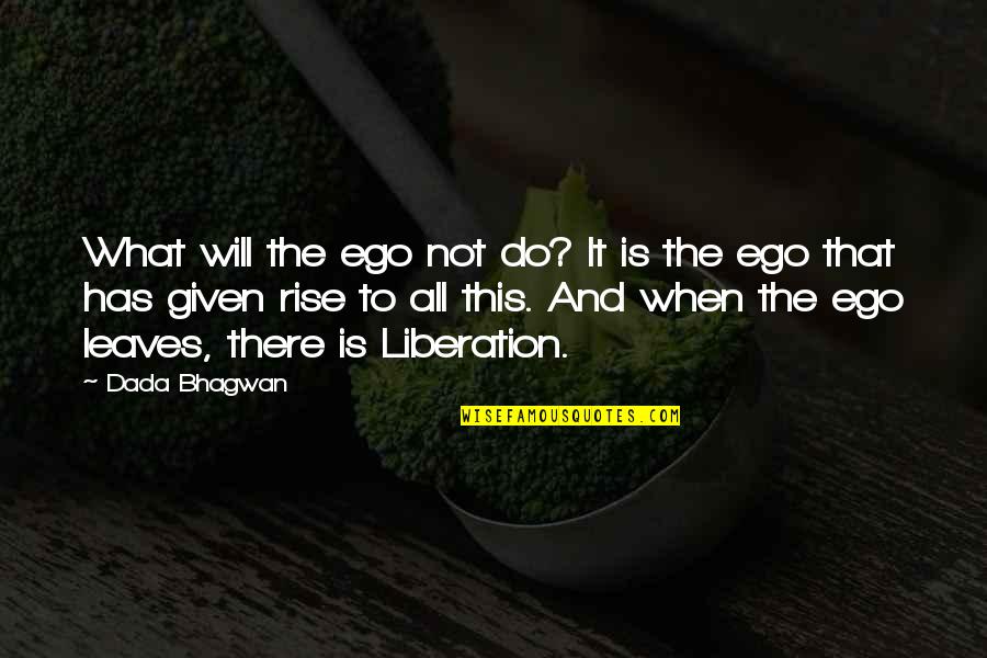 Airlifting Mountain Quotes By Dada Bhagwan: What will the ego not do? It is Airlifting Mountain Quotes By Dada Bhagwan: What will the ego not do? It is
