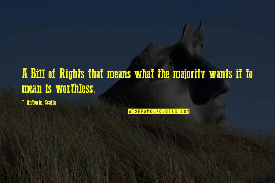 Airline Pilot Funny Quotes By Antonin Scalia: A Bill of Rights that means what the