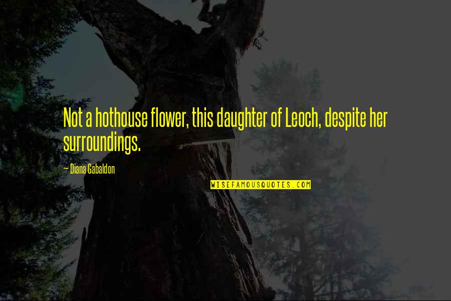 Airplanes Funny Quotes By Diana Gabaldon: Not a hothouse flower, this daughter of Leoch,