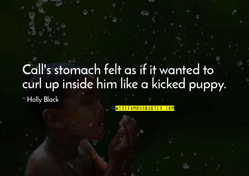 Airplanes In Life Quotes By Holly Black: Call's stomach felt as if it wanted to