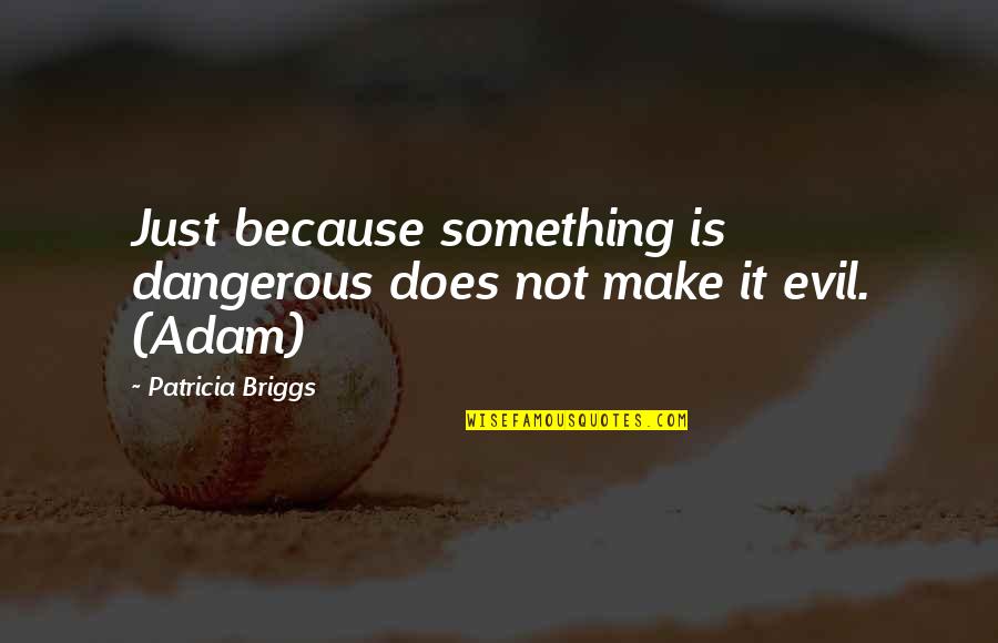 Airships Barry Hannah Quotes By Patricia Briggs: Just because something is dangerous does not make Airships Barry Hannah Quotes By Patricia Briggs: Just because something is dangerous does not make