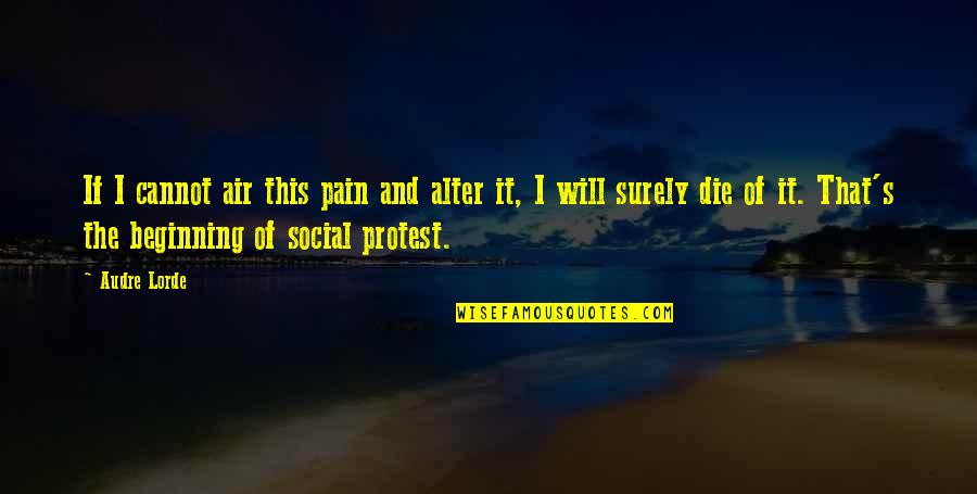 Air'that's Quotes By Audre Lorde: If I cannot air this pain and alter