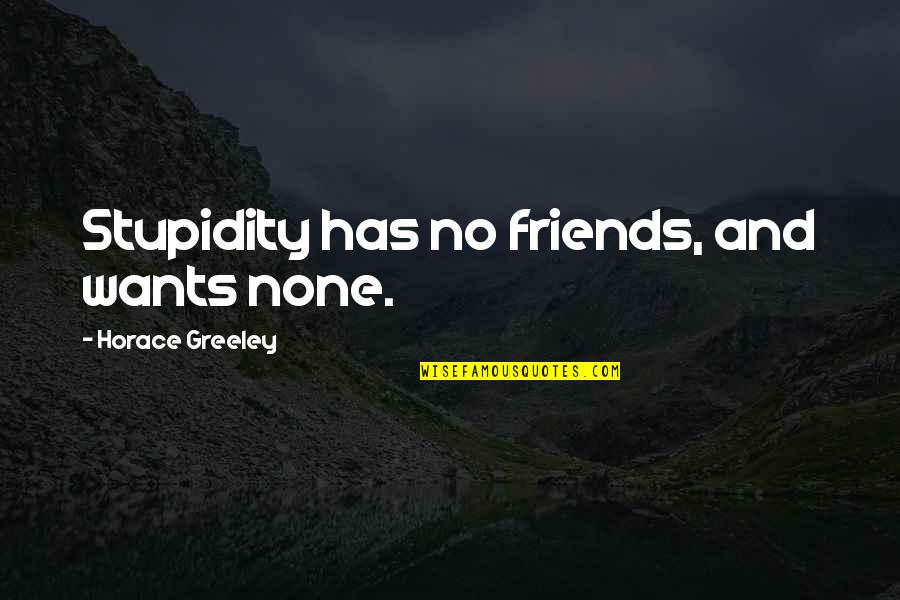 Aischaa Quotes By Horace Greeley: Stupidity has no friends, and wants none.